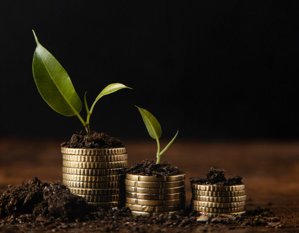 recruitment funding, scaling agency