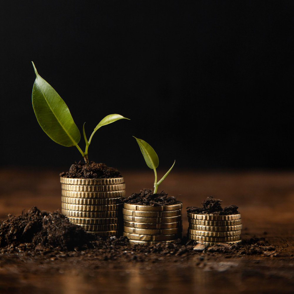 recruitment funding, scaling agency