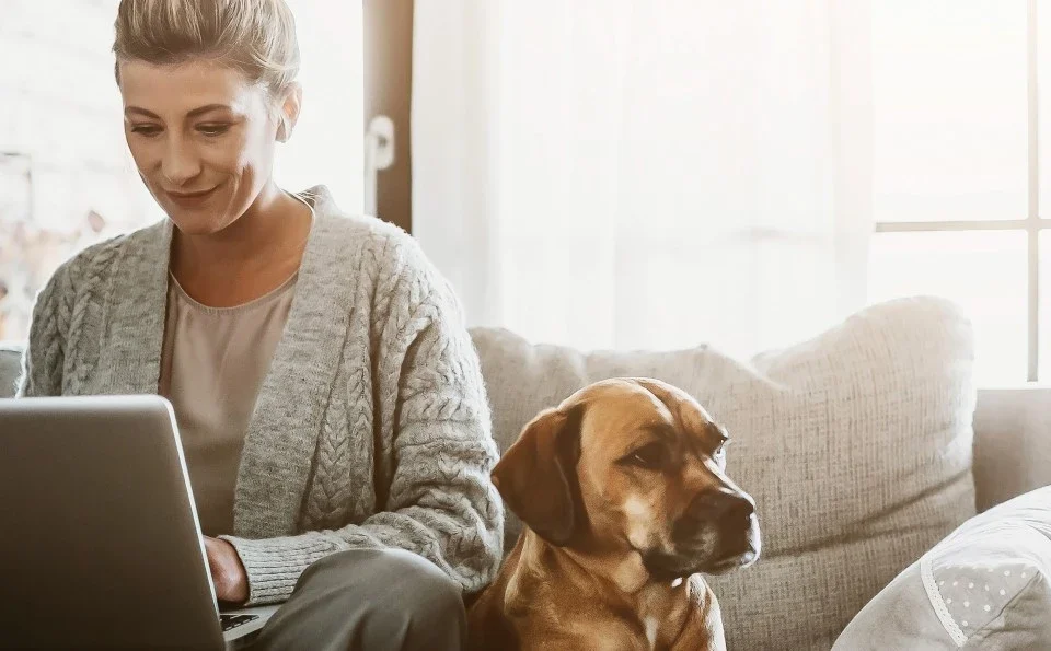 A lady working at a laptop on her sofa, with a dog next to her